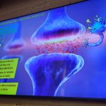 WhatsApp Image 2026-01-26 at 12.34.40